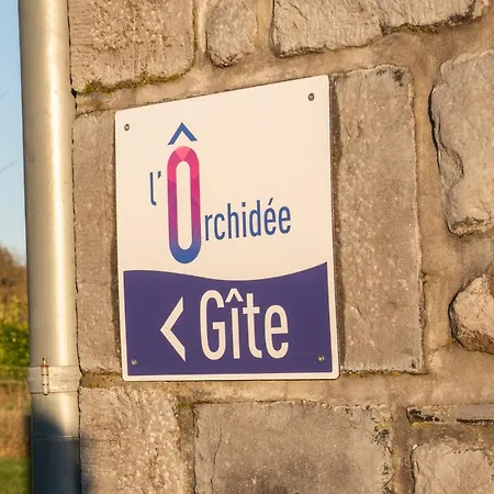 L'orchidee